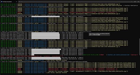 c5.coomer.su|欢迎使用 KToolBox .